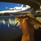 Фото рыбалки в Палия 5