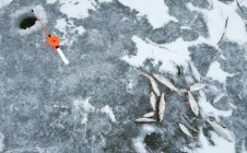 Фото рыбалки в Пижанский район 7