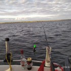 Фото рыбалки в Окунь 7