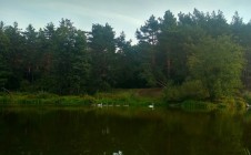 Фото рыбалки в Перевесье 1