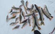 Фото рыбалки в Уйский район 5