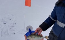 Фото рыбалки в Курганово, Полевской городской округ 3