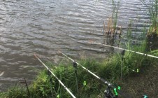 Фото рыбалки в Панинский район 4
