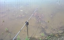 Фото рыбалки в Средняя Елюзань 4
