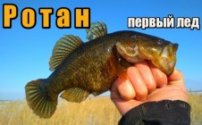 Фото рыбалки в Челябинская область 5