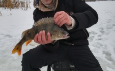 Фото рыбалки в Алдобаевка 0