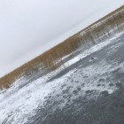Фото рыбалки в Щука, Голавль, Жерех 3