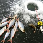 Фото рыбалки в Карась, Карп 0