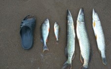 Фото рыбалки в Кировская область 4
