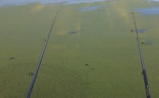 Фото рыбалки в Спутник, Осиповичский район 4