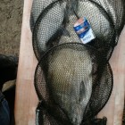 Фото рыбалки в Белоглазка, Лещ, Синец 2