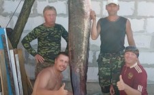 Фото рыбалки в Житковичский район 8
