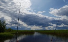 Фото рыбалки в Грибное 7