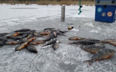 Фото рыбалки в СНТ Намоево 2