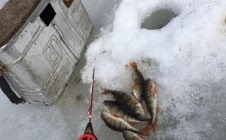 Фото рыбалки в Североуральский городской округ 1