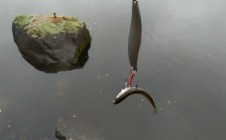 Фото рыбалки в Вуокса Йоки 0