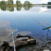 Рыбалка Красноперка, Плотва