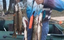Фото рыбалки в Ангасяк 4