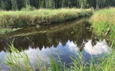 Фото рыбалки в Невьянский городской округ 2