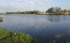 Фото рыбалки в Гулькевичский район 1