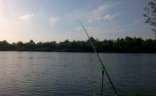 Фото рыбалки в Берёзки, Гомельский район 2