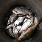 Фото рыбалки в Карась 2