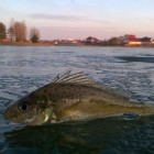 Фото рыбалки в Броницьке озеро 0