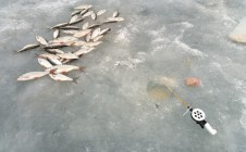 Фото рыбалки в Кокпектинский район 6
