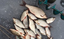Фото рыбалки в Галицкая 4