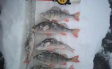 Фото рыбалки в Ильинский городской округ 7