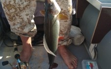 Фото рыбалки в Лоухский район 3