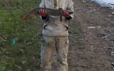 Фото рыбалки в Садовое, район Байтерек 3