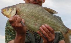 Фото рыбалки в Виляховка 5