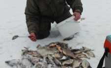 Фото рыбалки в Ольговка, Починковский район 4