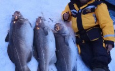 Фото рыбалки в Норвегия 4