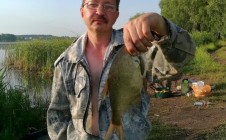 Фото рыбалки в Каменное, Грязинский район 6