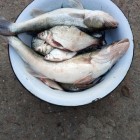 Фото рыбалки в Сом 1