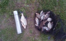 Фото рыбалки в Новосёлово, Чашникский район 0