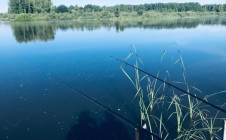 Фото рыбалки в Коченёвский муниципальный район 5