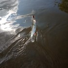 Фото рыбалки в Чехонь 3