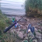 Фото рыбалки в Сом канальный 0