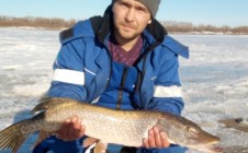 Фото рыбалки в городской округ Тобольск 11