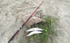Фото рыбалки в Бухличи 1