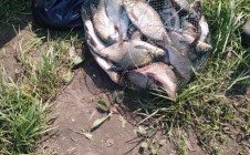 Фото рыбалки в Сокольский район 4