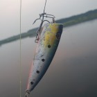 Фото рыбалки в Окунь 6