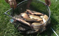 Фото рыбалки в Пронск 0