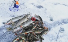 Фото рыбалки в Одоевское 0