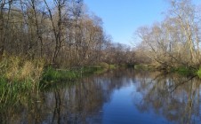 Фото рыбалки в Городокский район 9