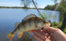 Фото рыбалки в Власьево, Волоколамский городской округ 3