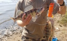 Фото рыбалки в городской округ Ступино 10